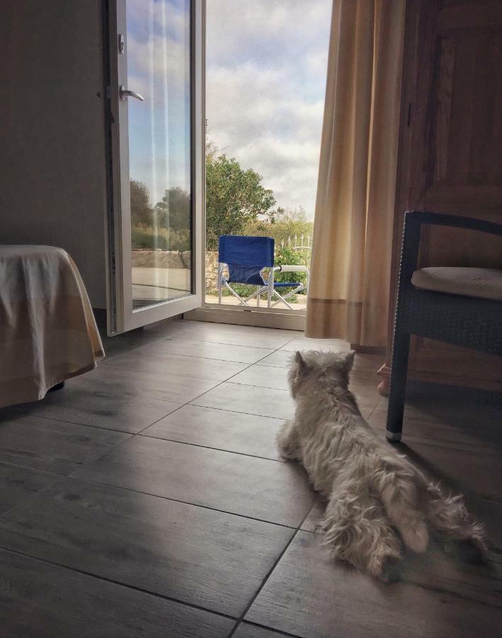 Villa Brigida Carloforte  Dış mekan fotoğraf