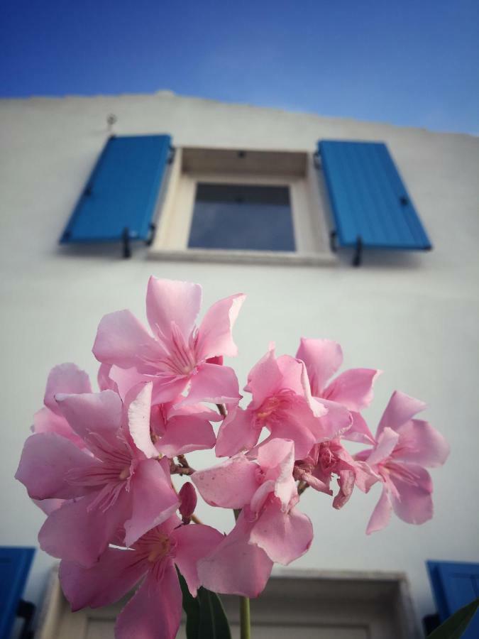 Villa Brigida Carloforte  Dış mekan fotoğraf